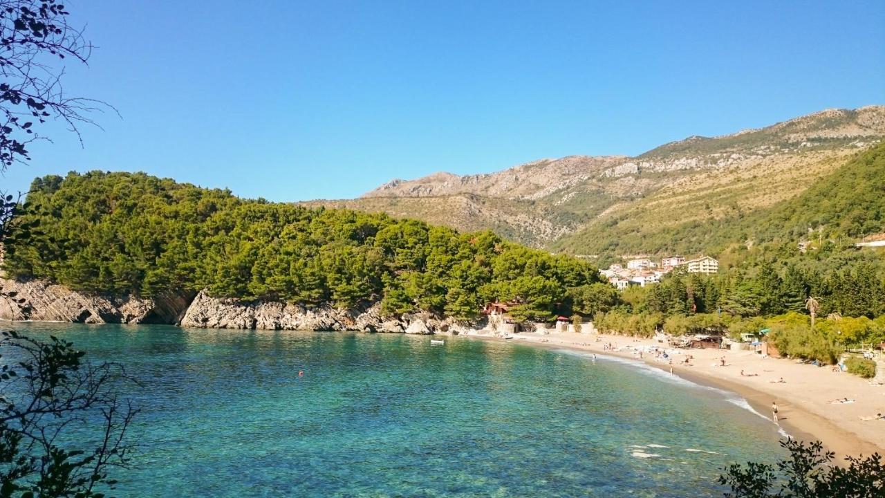 Apartment Green House Petrovac Εξωτερικό φωτογραφία